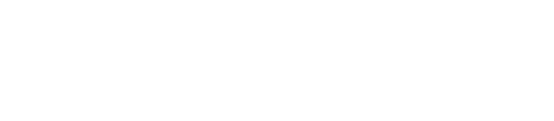 The Wingo Network